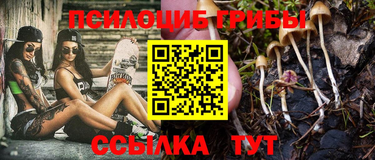 Галлюциногенные грибы ЛСД Каменск-Уральский